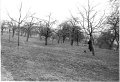 07a Schulhaus Krenkingen Bauplatz im Frühjahr 1962